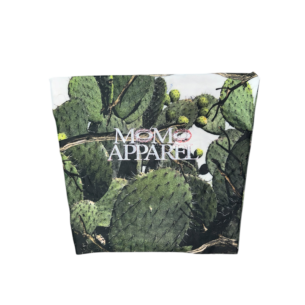 Top real-cactus